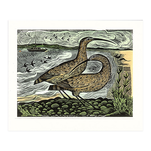 Angela Harding, 'Two curlews on the Deben'