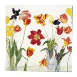 Dame Elizabeth Blackadder ' Purple Irises and Red and Yellow Tulips ' Set of cards