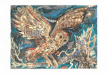 Mark Hearld, 10 Notecards & Envelopes ' Tawny Owl '