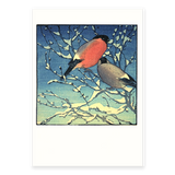 Allen William Seaby, 10 Notecards & Envelopes ' Hare in Snow '
