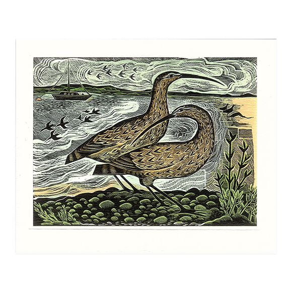 Angela Harding, 'Two curlews on the Deben'