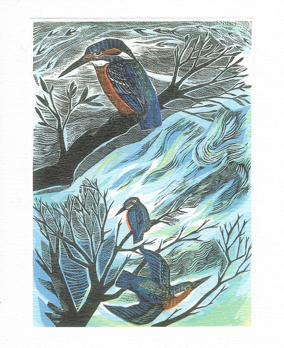 Angela Harding, 'Suffolk Kingfishers'