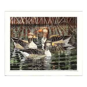 Lisa Hooper, 'Greylags'