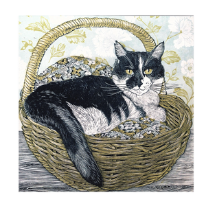 Vanessa Lubach, 'Cat In A Basket'