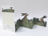 Angela Harding, 'Hares and Open Fields' Concertina Card